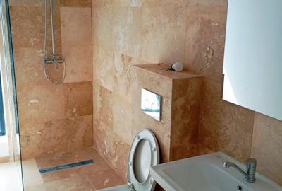 Vila Tunari str. Paris, 5 camere, curte 300  mp, 400 mp construiti - 26