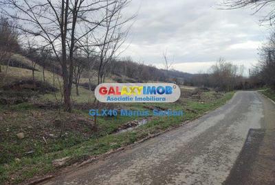 Teren Construcții intravilan de 2248 mp, în Răzvad - 14