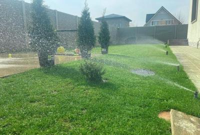 Vila de inchiriat Comuna Berceni - 10