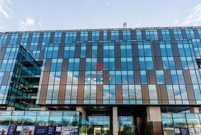 Birouri Cotroceni - Razoare, Bucuresti - 3