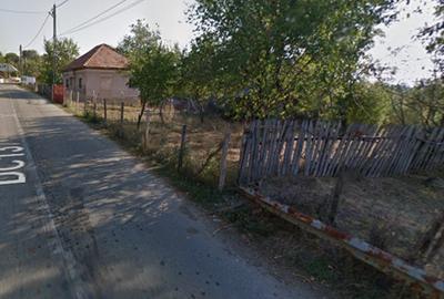🌳 Teren de 10.565 mp cu casă bătrânească în Coasta Cerbului, Slătioara – Valcea - 3