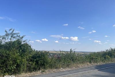 Teren de 1000 mp, în Topoloveni