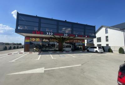 Spațiu comercial, de 500 mp, în Domnești - 15