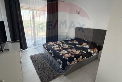Apartament cu 3 camere decomandat, mobilat în Brazda lui Novac - 5