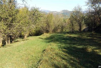 Teren de 2280 mp, în Cerașu - 8