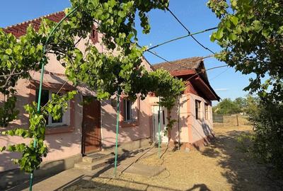 Casă cu Teren 1300 Mp în Iecea Mare