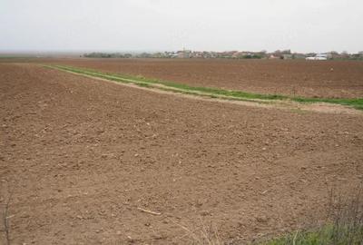Teren de 10000 mp, în Umbrărești