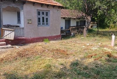 Casă cu 4 camere în Scurtești