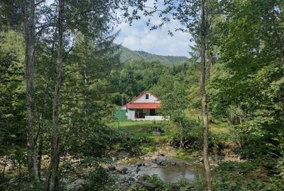 Casă cu 2 camere în Lepșa - 4