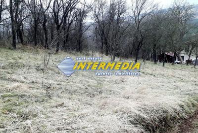 Teren Construcții intravilan de 1450 mp, în Pâclișa - 3