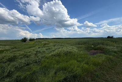 Teren agricol intravilan de 150000 mp, în Nord-Vest - 3