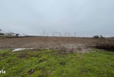 Teren de 4200 mp, în Mogoșani - 4