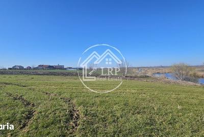 Teren de 646 mp, în Dascălu - 1