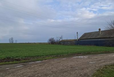 Teren agricol extravilan de 3125 mp, în Corbu - 3