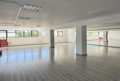 Spațiu comercial, de 180 mp, în Bârla - 3