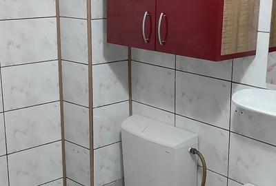 Garsonieră decomandată în Podu Roș - 2