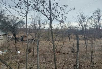 Teren de 3400 mp, în Gălățeni