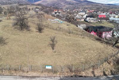 Teren Construcții intravilan de 1220 mp, în Prundu Bârgăului - 1
