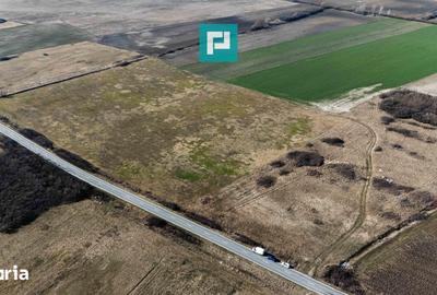 Teren de 9000 mp, în Sânmihaiu Român
