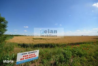 Teren de 28500 mp, în Movilița - 11