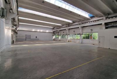 Spațiu industrial, de 8,000 mp, în Buziașului - 13