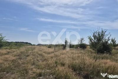 Teren de 500 mp, în Trivale