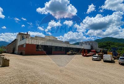 Spațiu industrial, de 9,800 mp, în Astra - 2