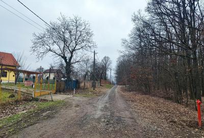 Spațiu comercial, în Viile Satu Mare - 8