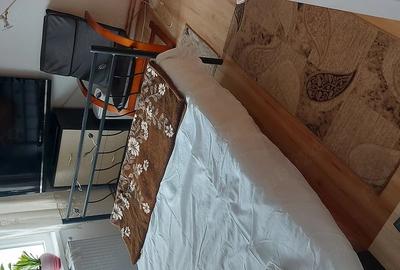 Apartament cu 2 camere semidecomandat în Take Ionescu - 4