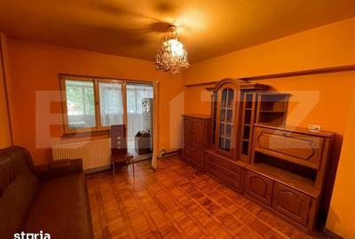 Apartament cu 3 camere decomandat în Lăpuș Argeș - 4