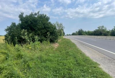 Teren Construcții intravilan de 7200 mp, în Săftica - 3