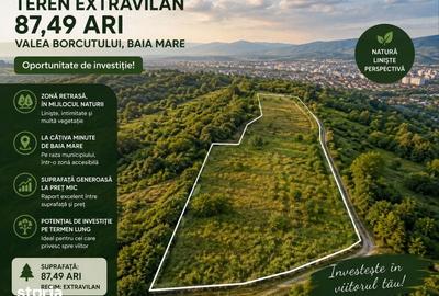 Teren de 8748 mp, în Valea Borcutului