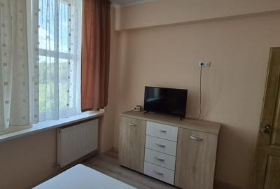 Apartament cu 2 camere în Valea Borcutului - 6