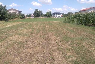 Teren de 2350 mp, în Frătești