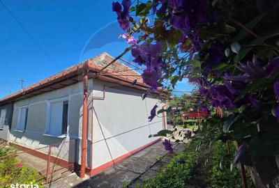 Casă cu 3 camere cu Teren 360 Mp în Central - 8