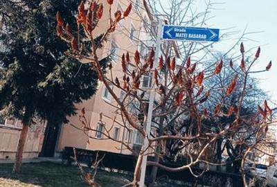 Apartament cu 3 camere decomandat în Exercițiu