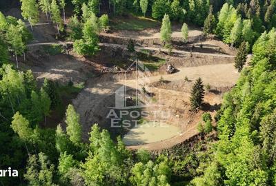 Teren de 18000 mp, în Central - 10