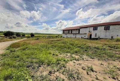 Teren Construcții intravilan de 2000 mp, în Murighiol - 9