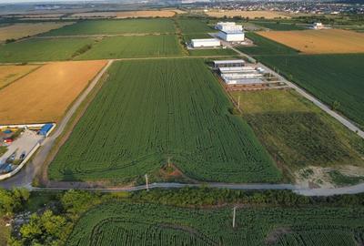 Teren Construcții intravilan de 4037 mp, în Giarmata - 16