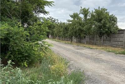 Teren de 676 mp, în Moșnița Nouă