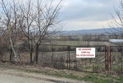 Teren intravilan de 1290 mp, în Coltău - 6