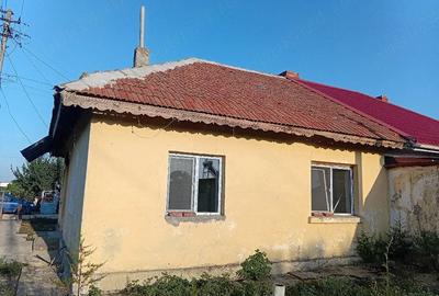 Casă cu Teren 2313 Mp în Cobadin