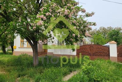 Casă individuală cu 3 camere cu Teren 1434 Mp în Satchinez - 2
