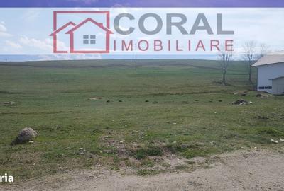 Spațiu comercial, în Central