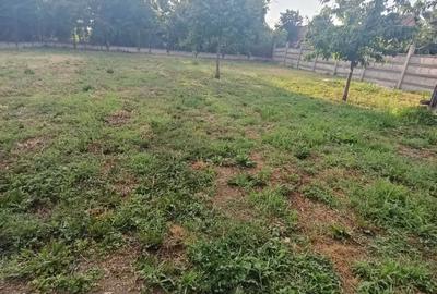 Casă cu 3 camere în Central - 4