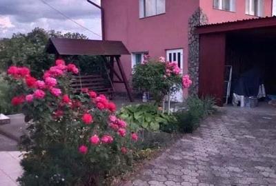 Casă cu Teren 1000 Mp în Dâmbu Pietros - 4