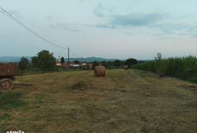 Spațiu comercial, în Răchita - 1