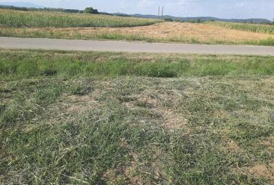 Teren de 2600 mp, în Băbeni - 5