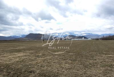Teren agricol extravilan de 2800 mp, în Tălmaciu - 17