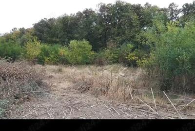 Teren de 400 mp, în Gruiu